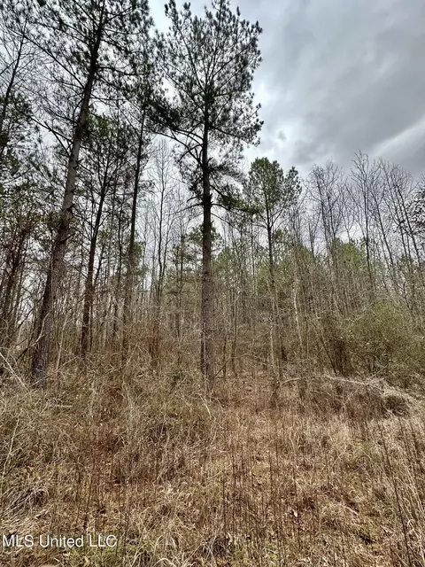 Ms-16, Canton, MS 39046 photo 14
