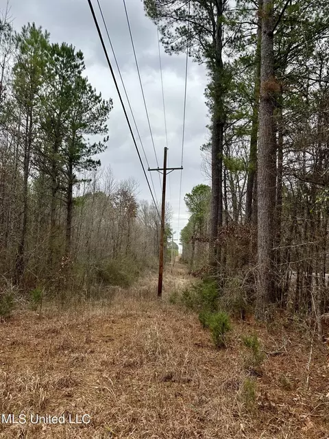 Ms-16, Canton, MS 39046 photo 3