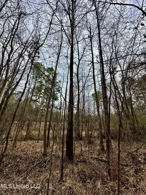 Ms-16, Canton, MS 39046 photo 11