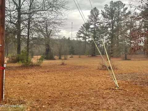 Owens Drive, Terry, MS 39170