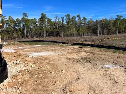 253 Bronson Bnd, Flowood, MS 39232 photo 12