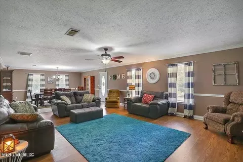 Living - 105 Main St, Raleigh, MS 39153 photo 4 of 5