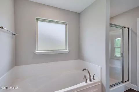Bath - 302 Jasmine Cove Ln, Brandon, MS 39042 photo 2 of 3