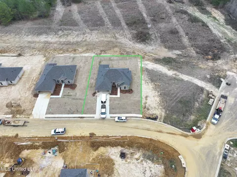 View/Area - 302 Jasmine Cove Ln, Brandon, MS 39042 photo 1 of 2