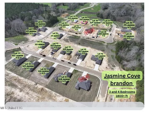 Other - 302 Jasmine Cove Ln, Brandon, MS 39042 photo 2 of 11