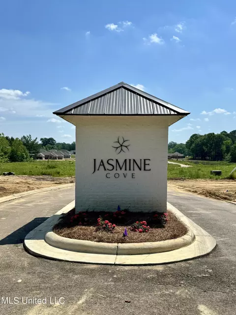 Other - 302 Jasmine Cove Ln, Brandon, MS 39042 photo 9 of 11
