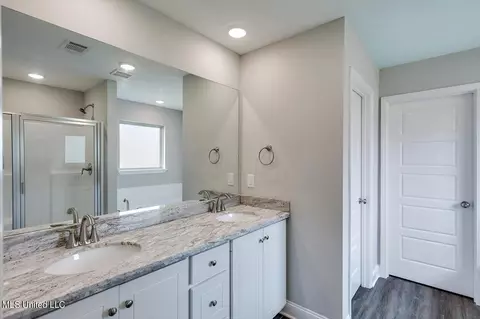 Bath - 302 Jasmine Cove Ln, Brandon, MS 39042 photo 1 of 3