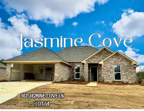 Other - 302 Jasmine Cove Ln, Brandon, MS 39042 photo 1 of 11