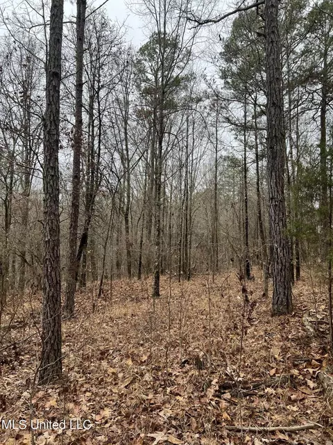 Sand Hill Road, West, MS 39192 photo 4