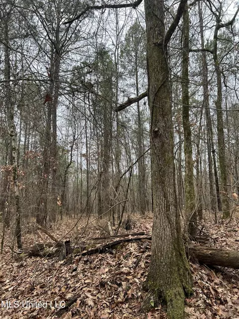 Sand Hill Road, West, MS 39192 photo 3