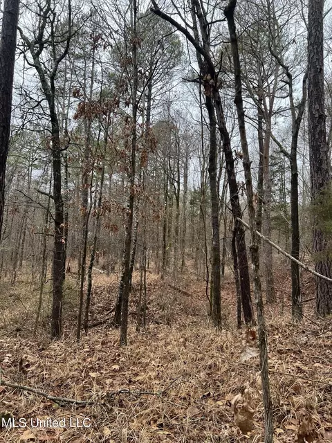 Sand Hill Road, West, MS 39192 photo 2