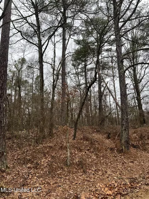 Sand Hill Road, West, MS 39192