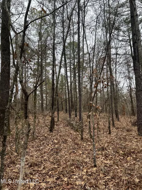 Sand Hill Road, West, MS 39192 photo 5