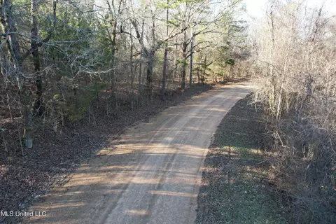 Off Nason Road Road, Holcomb, MS 38940 photo 4