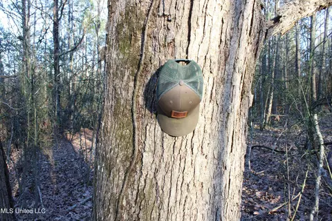 Off Nason Road Road, Holcomb, MS 38940 photo 8