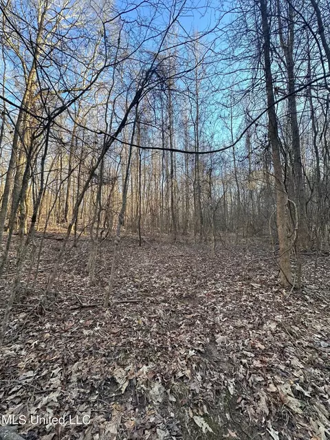 Off Nason Road Road, Holcomb, MS 38940 photo 12