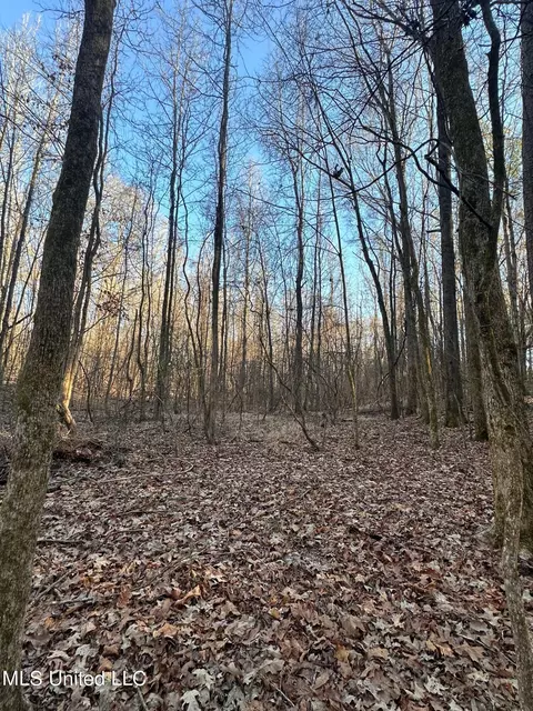 Off Nason Road Road, Holcomb, MS 38940 photo 7