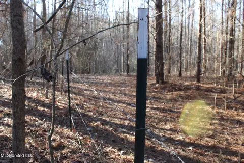Off Nason Road Road, Holcomb, MS 38940 photo 9