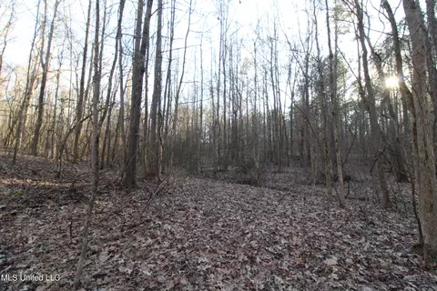Off Nason Road Road, Holcomb, MS 38940 photo 6