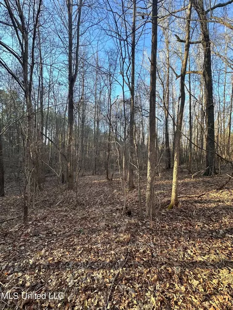 Off Nason Road Road, Holcomb, MS 38940 photo 10