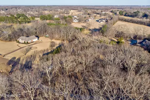 View/Area - 4617 Nail Rd, Olive Branch, MS 38654 photo 4 of 5