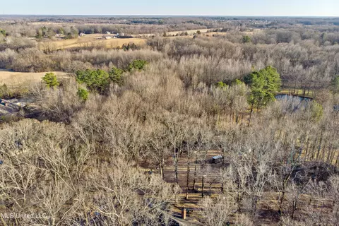 View/Area - 4617 Nail Rd, Olive Branch, MS 38654 photo 3 of 5