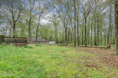Exterior - 4617 Nail Rd, Olive Branch, MS 38654 photo 6 of 6