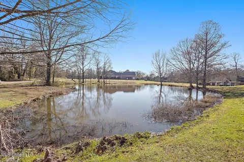 View/Area - 1264 Olivia Ln, Terry, MS 39170 photo 4 of 17