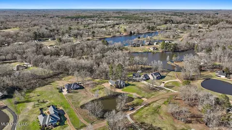 View/Area - 1264 Olivia Ln, Terry, MS 39170 photo 11 of 17