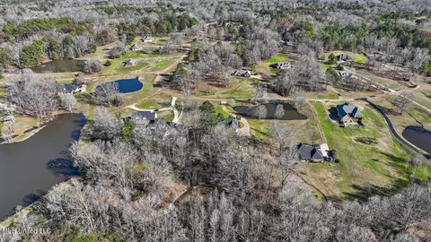 View/Area - 1264 Olivia Ln, Terry, MS 39170 photo 14 of 17