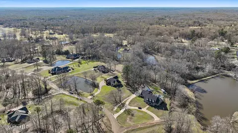 View/Area - 1264 Olivia Ln, Terry, MS 39170 photo 13 of 17