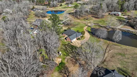 View/Area - 1264 Olivia Ln, Terry, MS 39170 photo 16 of 17