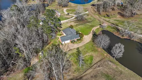 View/Area - 1264 Olivia Ln, Terry, MS 39170 photo 17 of 17