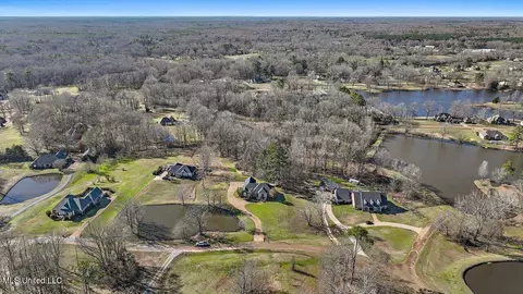 View/Area - 1264 Olivia Ln, Terry, MS 39170 photo 12 of 17