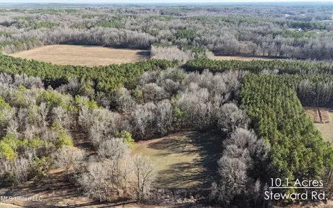 Steward Road, Senatobia, MS 38668