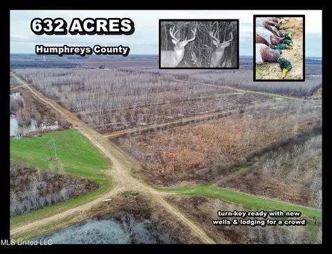 Catfish Road, Isola, MS 38754