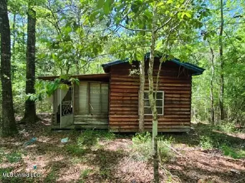E Mchenry Road, Mchenry, MS 39561 photo 16