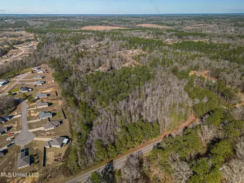 E Mchenry Road, Mchenry, MS 39561 photo 8