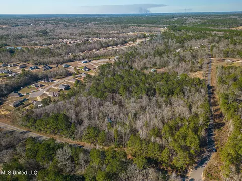 E Mchenry Road, Mchenry, MS 39561 photo 6