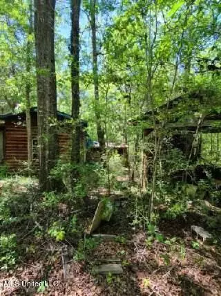 E Mchenry Road, Mchenry, MS 39561 photo 18