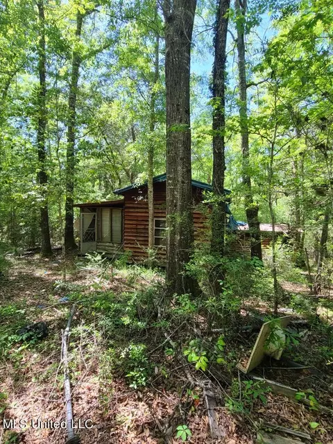 E Mchenry Road, Mchenry, MS 39561 photo 19