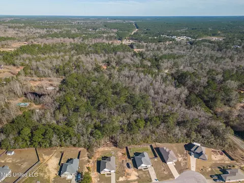 E Mchenry Road, Mchenry, MS 39561 photo 10