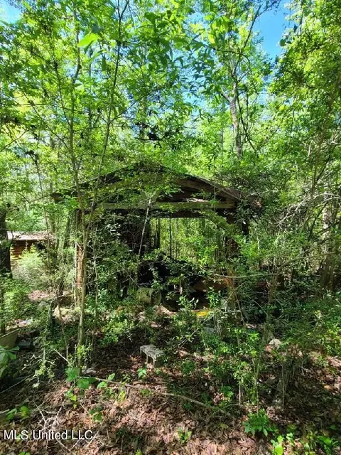 E Mchenry Road, Mchenry, MS 39561 photo 17