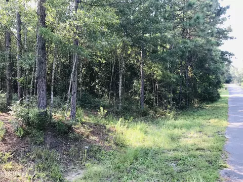Dogwood Lane, Saucier, MS 39574