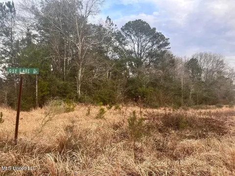 Nhn Lost Lake Drive, Poplarville, MS 39470