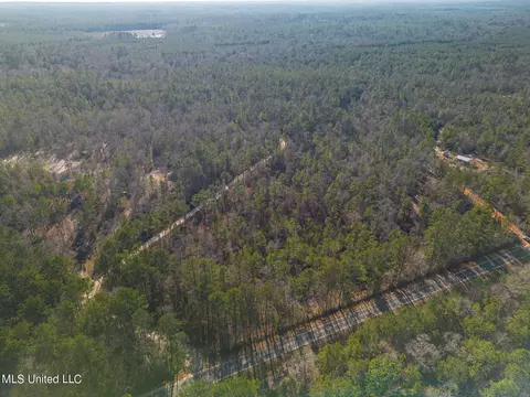 tbd New Hope Rd, Wiggins, MS 39577