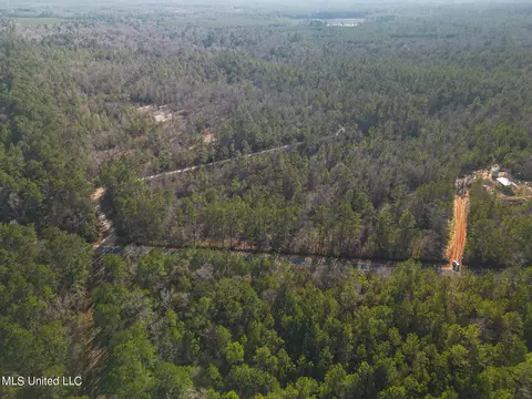 tbd New Hope Rd, Wiggins, MS 39577 photo 8