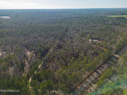 tbd New Hope Rd, Wiggins, MS 39577 photo 4