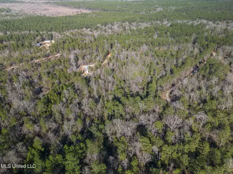 tbd New Hope Rd, Wiggins, MS 39577 photo 6