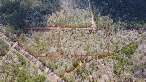 tbd New Hope Rd, Wiggins, MS 39577 photo 3